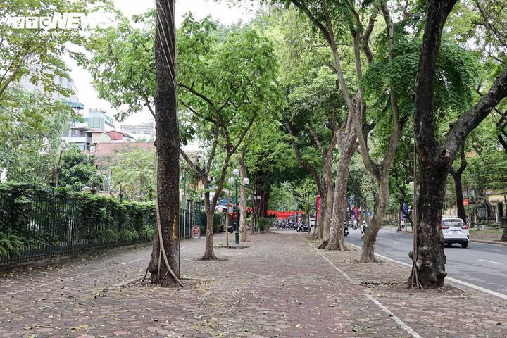 Nhiều tuyến vỉa h&egrave; H&agrave; Nội vẫn bị h&agrave;ng qu&aacute;n, b&atilde;i xe 'nuốt chửng' cả ng&agrave;y lẫn đ&ecirc;m- Ảnh 1.