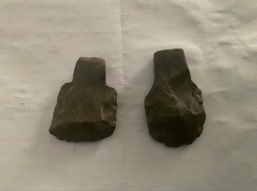 Ph&aacute;t hiện r&igrave;u đ&aacute; 8 . 000 Năm tuổi trong hang &Eacute;n ở Phong Nha - Kẻ B&agrave;ng - Ảnh 2.