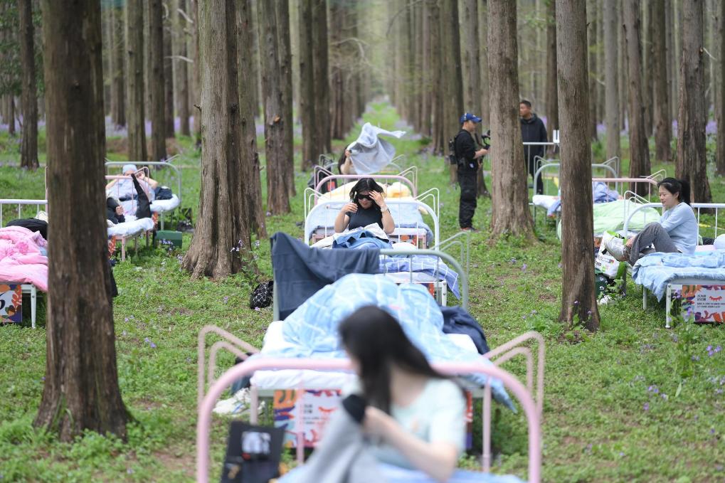 Cuộc thi ngủ trong rừng đang hot ở Trung Quốc: K&iacute;n 400 suất đăng k&yacute;, tiền thưởng cho &ldquo;thần ngủ" l&agrave; bao nhi&ecirc;u? - Ảnh 8.