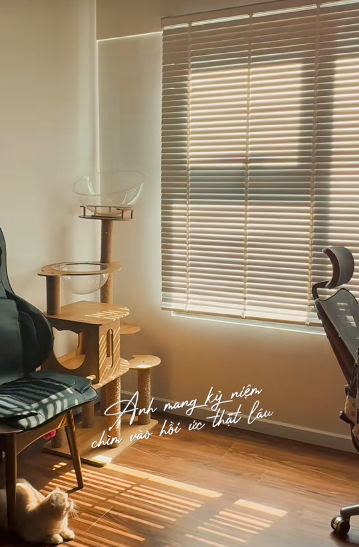 67m&sup2; ho&agrave;n thiện với 55 triệu: Cặp vợ chồng trẻ ở TP HCM tự l&agrave;m nội thất, g&oacute;c ban c&ocirc;ng xanh m&aacute;t khiến căn nh&agrave; như rộng th&ecirc;m- Ảnh 6.