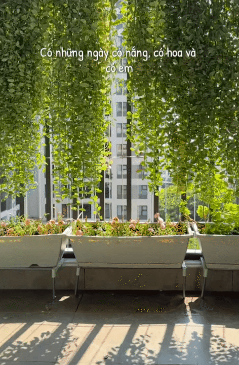 67m&sup2; ho&agrave;n thiện với 55 triệu: Cặp vợ chồng trẻ ở TP HCM tự l&agrave;m nội thất, g&oacute;c ban c&ocirc;ng xanh m&aacute;t khiến căn nh&agrave; như rộng th&ecirc;m- Ảnh 10.