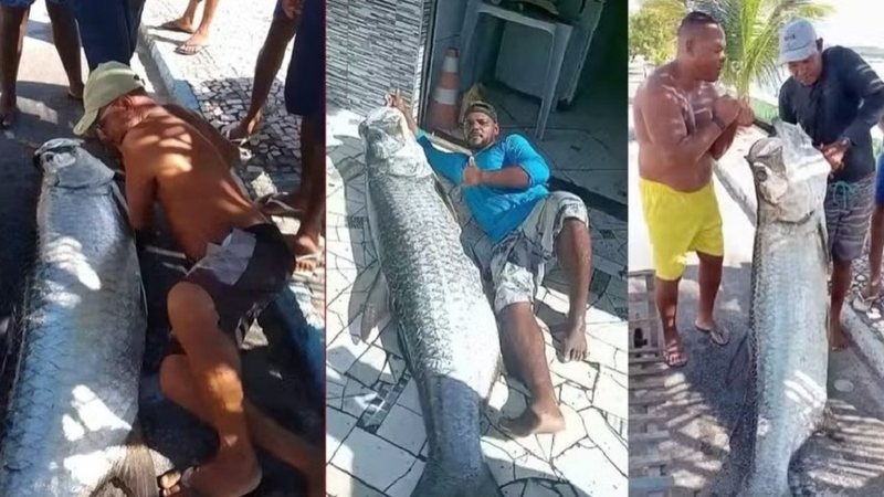 Ngư d&acirc;n bắt được con c&aacute; khổng lồ d&agrave;i 1,9 m&eacute;t v&agrave; nặng 120 kg - Ảnh 1.