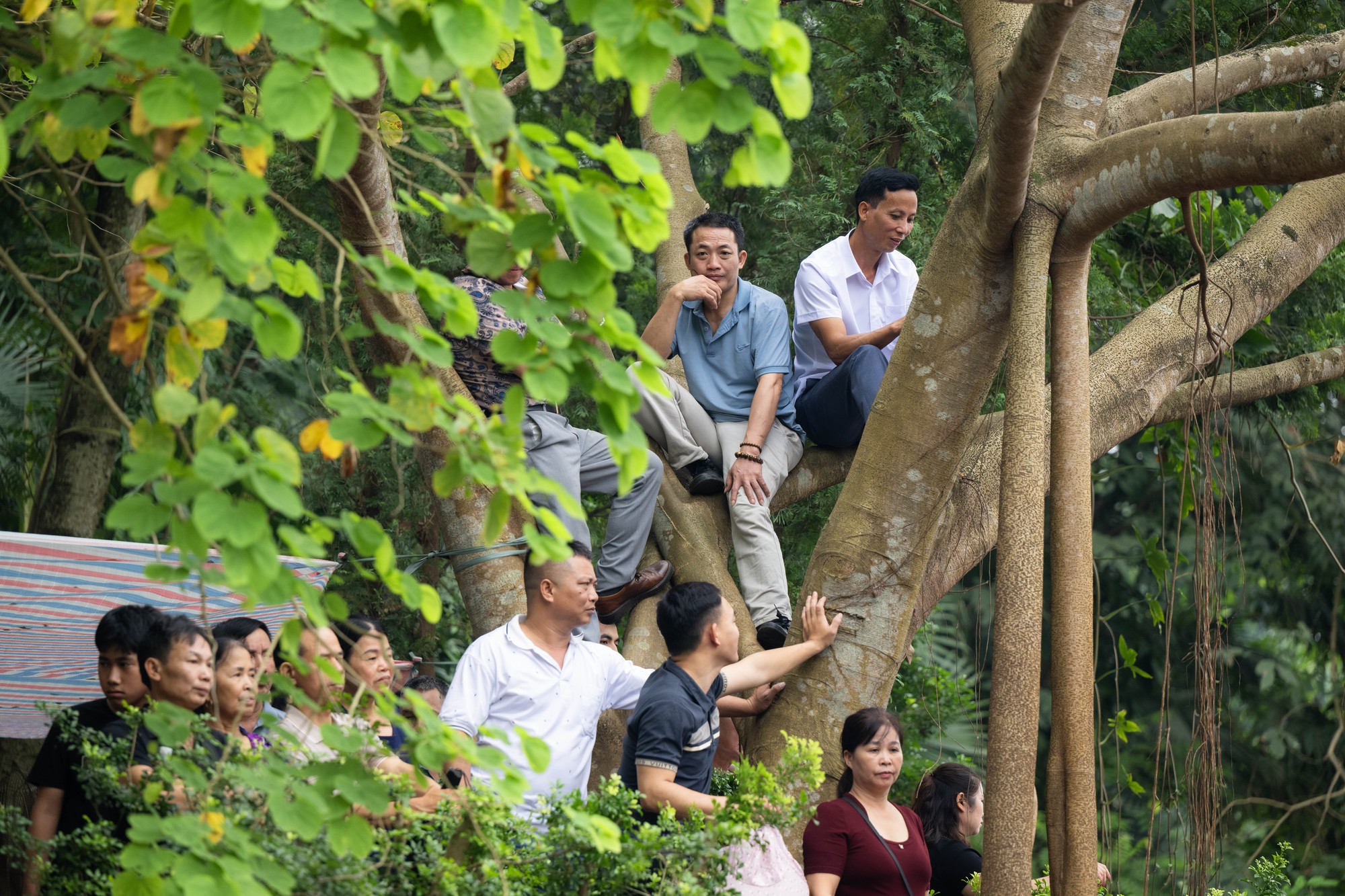 Biển người đổ về Đền H&ugrave;ng trong ng&agrave;y Giỗ Tổ H&ugrave;ng Vương: Người d&acirc;n đội lễ chen ch&acirc;n h&agrave;nh hương, ngất xỉu giữa d&ograve;ng người đ&ocirc;ng đ&uacute;c- Ảnh 23.