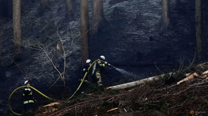 Ch&aacute;y rừng tại Nhật Bản khiến 3.000 người sơ t&aacute;n, l&iacute;nh cứu hỏa căng m&igrave;nh dập lửa- Ảnh 1.