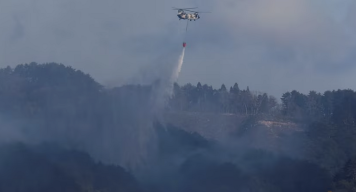 Ch&aacute;y rừng tại Nhật Bản khiến 3.000 người sơ t&aacute;n, l&iacute;nh cứu hỏa căng m&igrave;nh dập lửa- Ảnh 2.