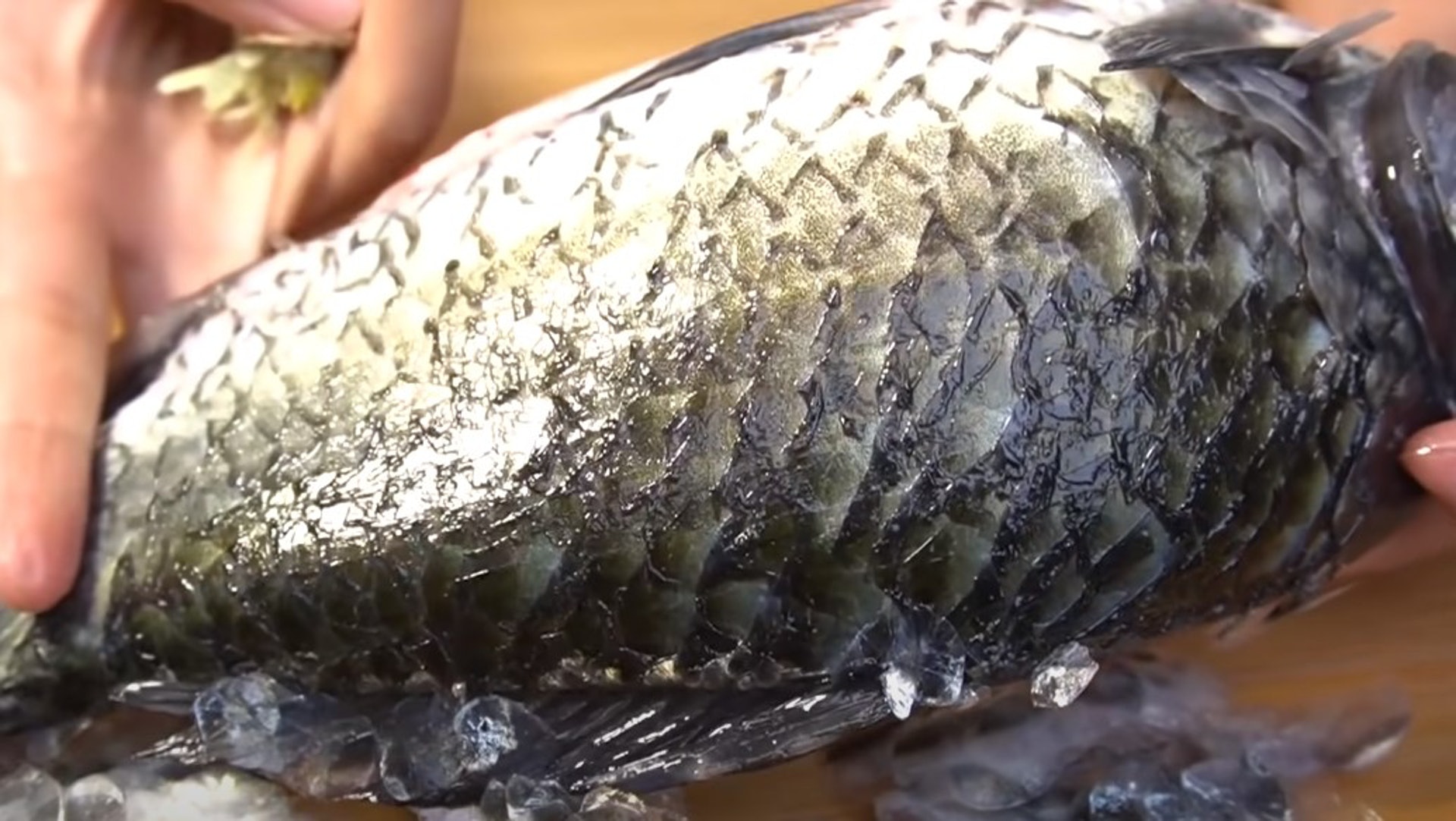 Mẹo đ&aacute;nh vảy c&aacute;: Kh&ocirc;ng cần dao hay đồ b&agrave;o, chỉ d&ugrave;ng 1 "phế liệu" nhỏ l&agrave; đ&atilde; sạch sẽ, kh&ocirc;ng lo đứt tay, vảy c&aacute; kh&ocirc;ng văng tung t&oacute;e- Ảnh 1.