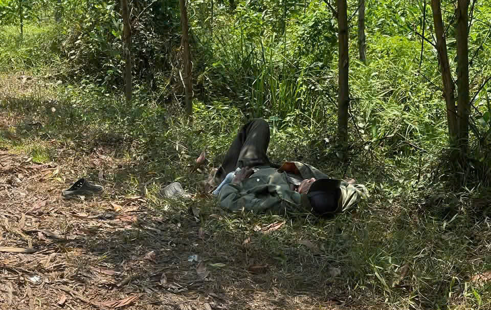 Cụ &ocirc;ng 79 tuổi mang "thỏi v&agrave;ng" nằm lả b&ecirc;n vệ đường ở giữa rừng tr&agrave;m- Ảnh 1.