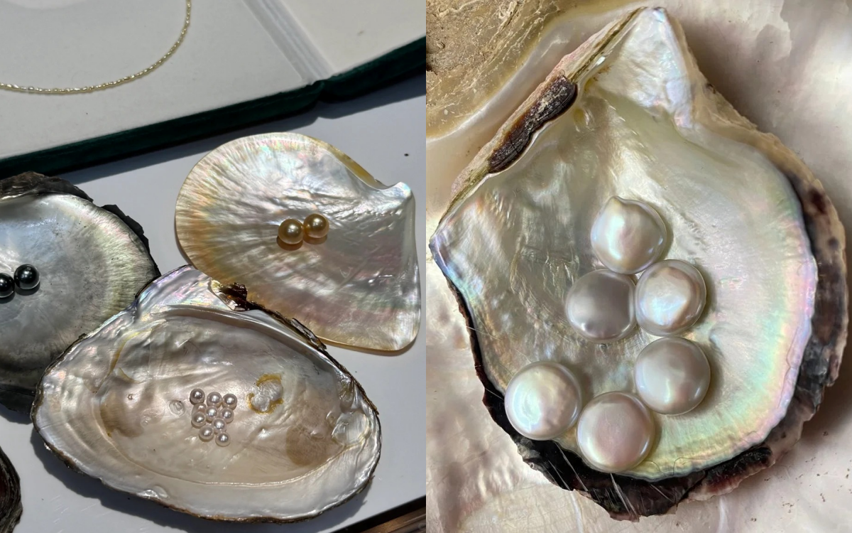 T&uacute;i khảm x&agrave; cừ 32 c&aacute;nh hoa "ai nh&igrave;n cũng m&ecirc;" của Dior- Ảnh 2.