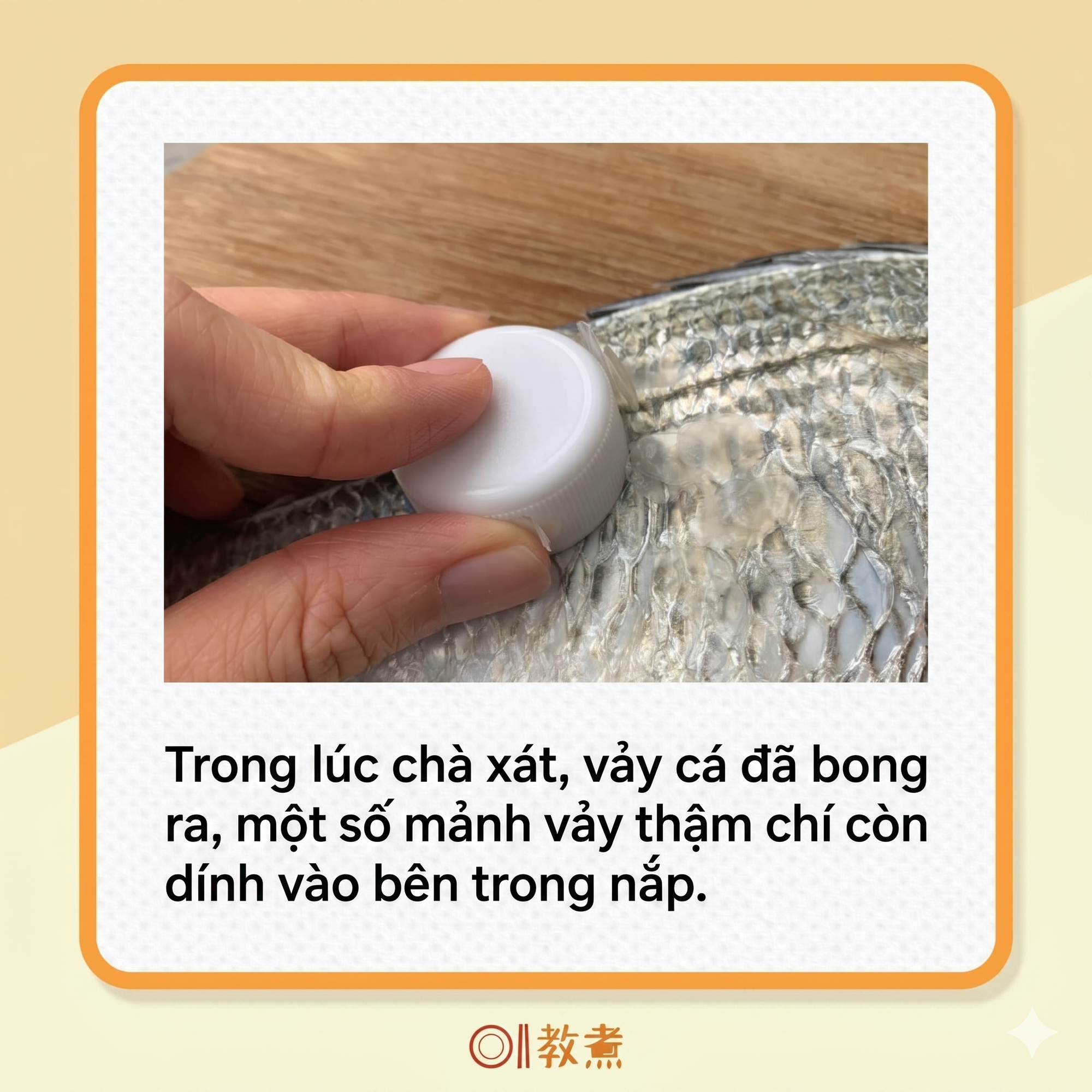Mẹo đ&aacute;nh vảy c&aacute;: Kh&ocirc;ng cần dao hay đồ b&agrave;o, chỉ d&ugrave;ng 1 "phế liệu" nhỏ l&agrave; đ&atilde; sạch sẽ, kh&ocirc;ng lo đứt tay, vảy c&aacute; kh&ocirc;ng văng tung t&oacute;e- Ảnh 5.