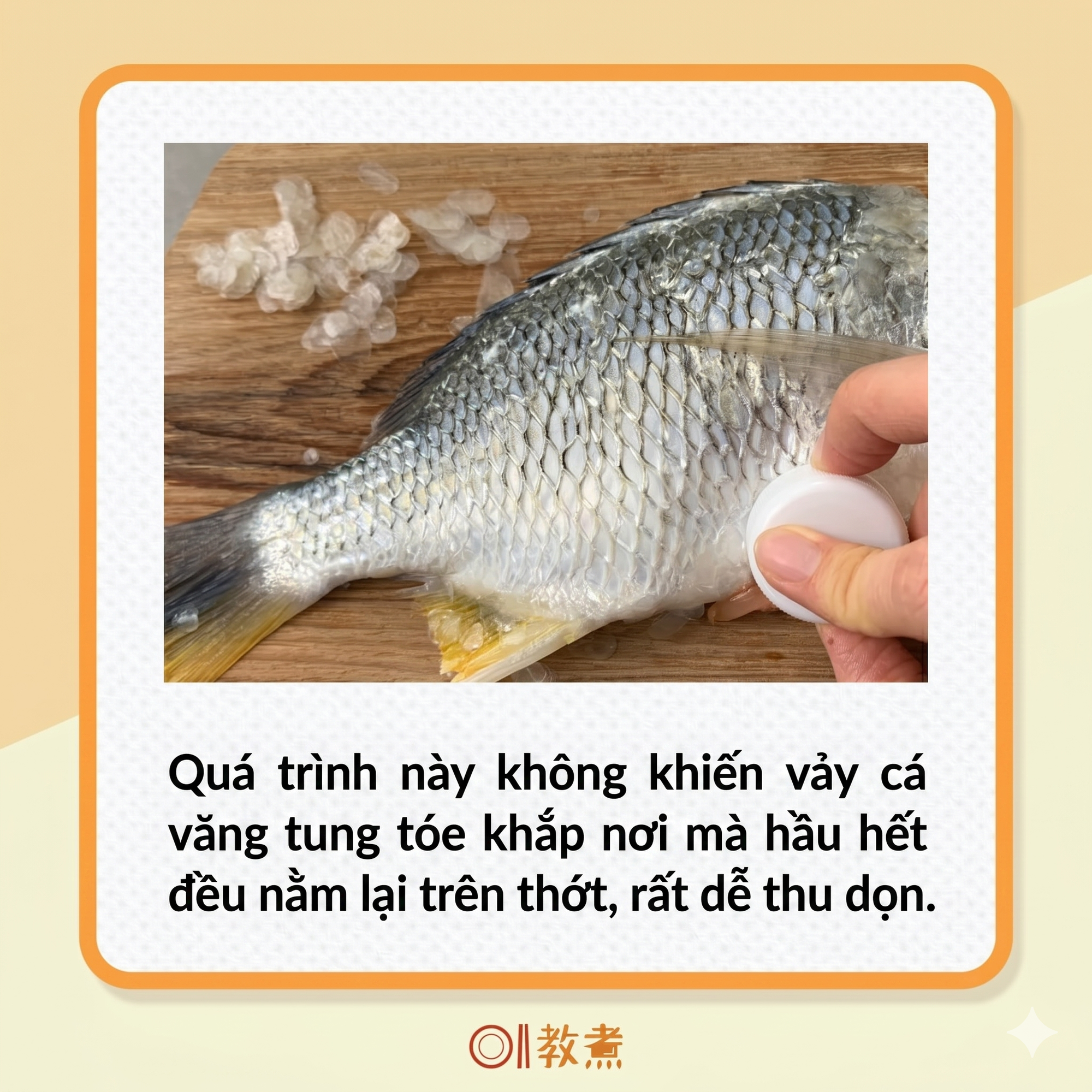 Mẹo đ&aacute;nh vảy c&aacute;: Kh&ocirc;ng cần dao hay đồ b&agrave;o, chỉ d&ugrave;ng 1 "phế liệu" nhỏ l&agrave; đ&atilde; sạch sẽ, kh&ocirc;ng lo đứt tay, vảy c&aacute; kh&ocirc;ng văng tung t&oacute;e- Ảnh 6.