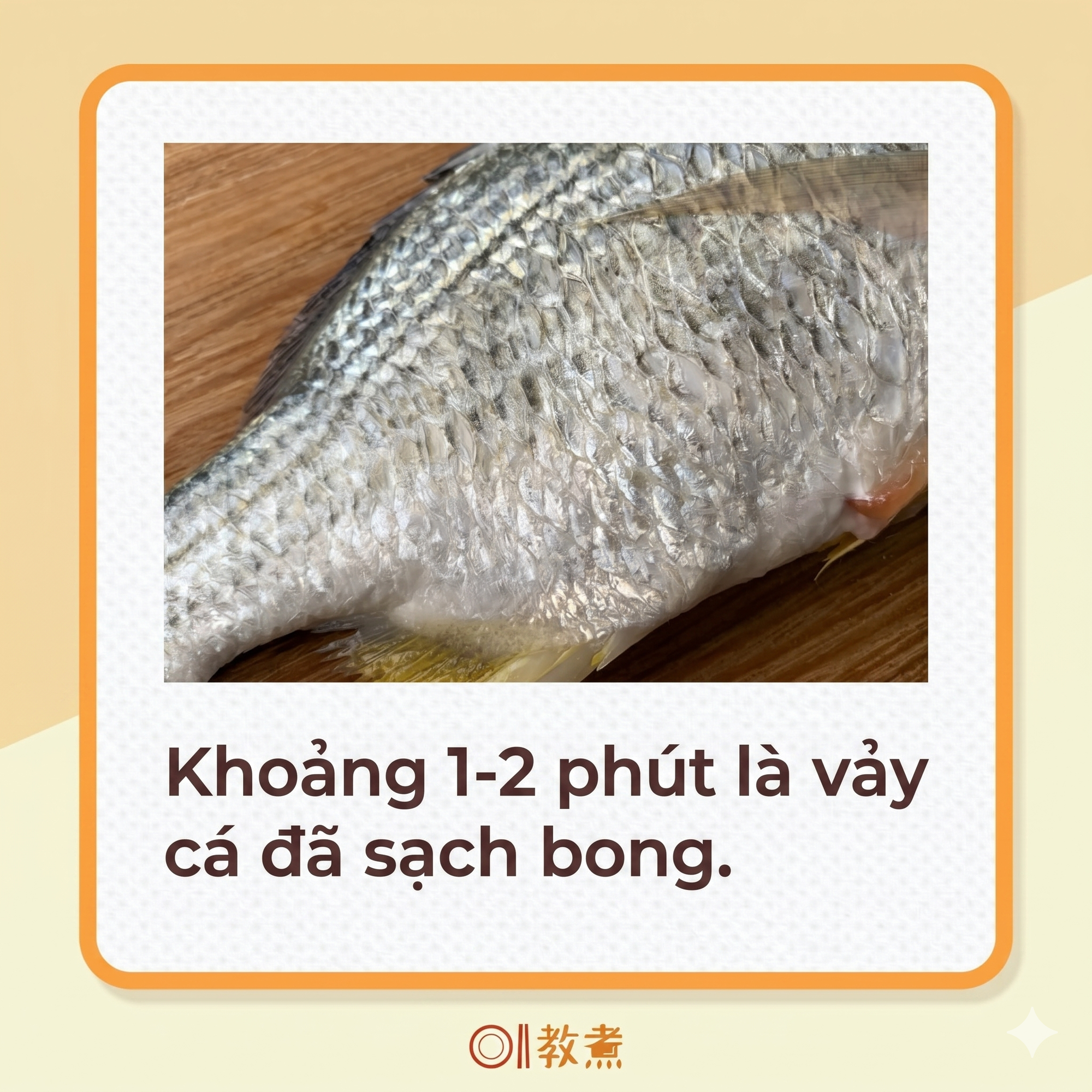 Mẹo đ&aacute;nh vảy c&aacute;: Kh&ocirc;ng cần dao hay đồ b&agrave;o, chỉ d&ugrave;ng 1 "phế liệu" nhỏ l&agrave; đ&atilde; sạch sẽ, kh&ocirc;ng lo đứt tay, vảy c&aacute; kh&ocirc;ng văng tung t&oacute;e- Ảnh 7.