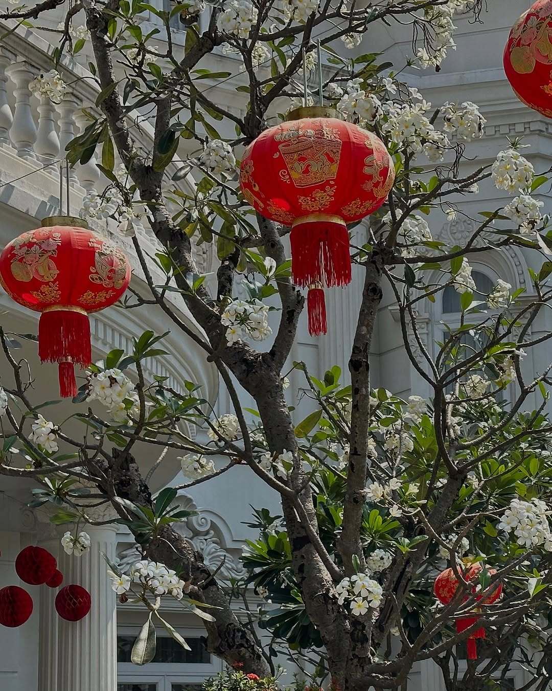 Mỹ nh&acirc;n 26 tuổi cưới ch&aacute;u trai gia tộc gi&agrave;u bậc nhất Việt Nam: Sống trong dinh thự d&aacute;t v&agrave;ng, s&acirc;n nh&agrave; đủ đỗ chục chiếc xe hơi- Ảnh 14.