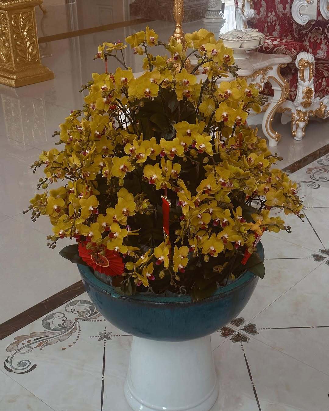 Mỹ nh&acirc;n 26 tuổi cưới ch&aacute;u trai gia tộc gi&agrave;u bậc nhất Việt Nam: Sống trong dinh thự d&aacute;t v&agrave;ng, s&acirc;n nh&agrave; đủ đỗ chục chiếc xe hơi- Ảnh 15.