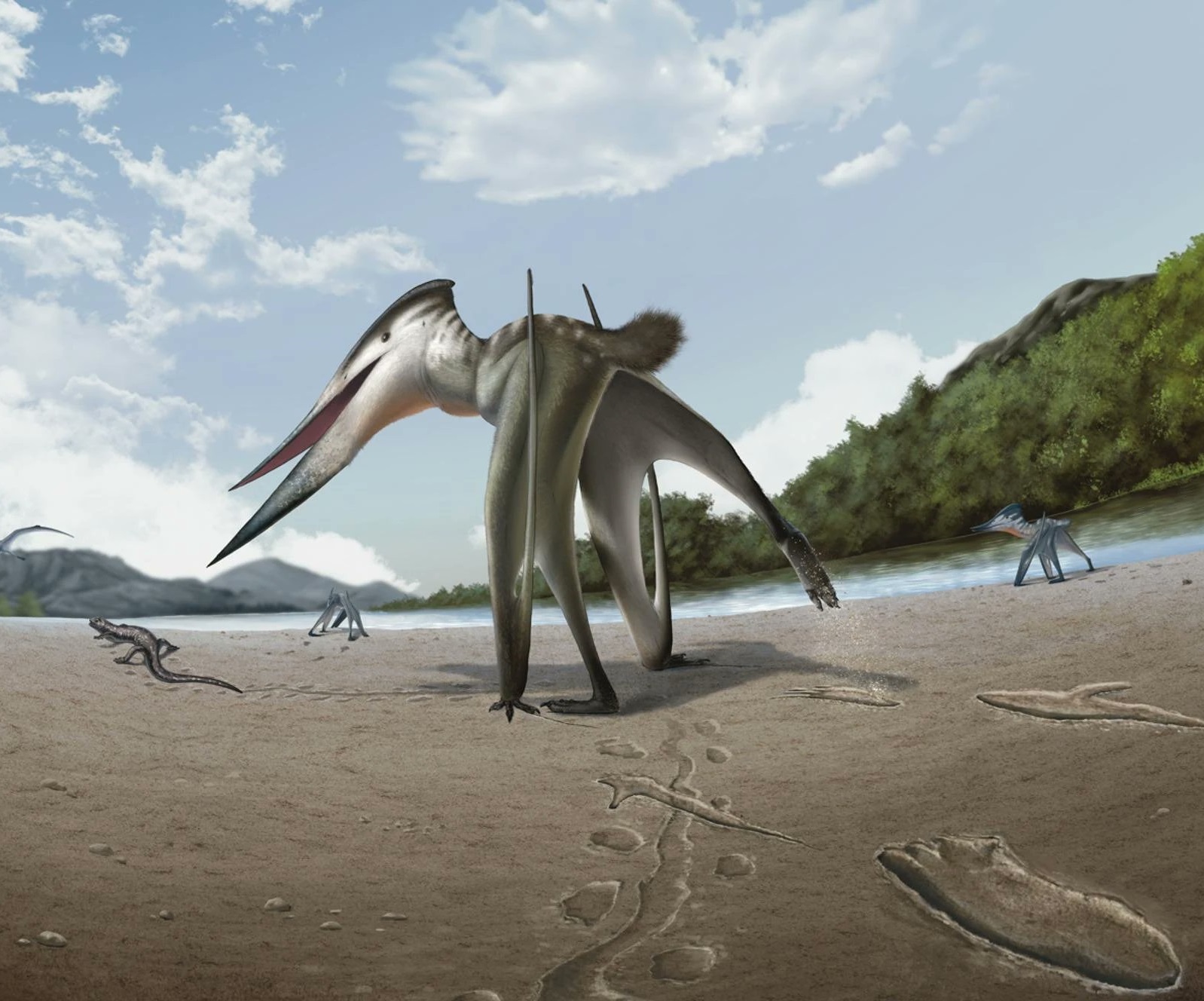 H&agrave;n Quốc: Dấu ch&acirc;n tr&ecirc;n đ&aacute; h&eacute; lộ sự tồn tại của sinh vật lạ- Ảnh 1.