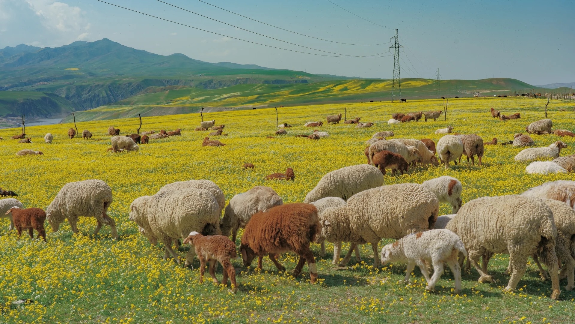 Khi t&ocirc;i quyết định kh&ocirc;ng đi đ&acirc;u cả dịp 30/4: T&agrave;i khoản "c&ograve;n nguy&ecirc;n", người kh&ocirc;ng mệt v&agrave; lần đầu thấy th&agrave;nh phố m&igrave;nh đang sống đẹp đến vậy- Ảnh 2.