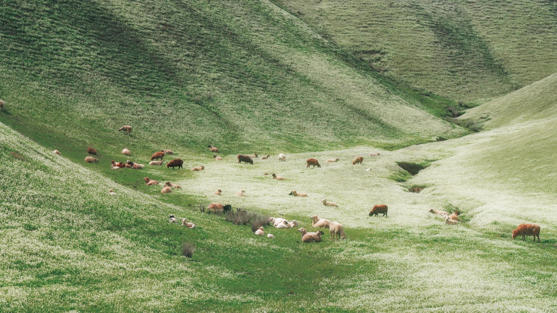 Khi t&ocirc;i quyết định kh&ocirc;ng đi đ&acirc;u cả dịp 30/4: T&agrave;i khoản "c&ograve;n nguy&ecirc;n", người kh&ocirc;ng mệt v&agrave; lần đầu thấy th&agrave;nh phố m&igrave;nh đang sống đẹp đến vậy- Ảnh 1.