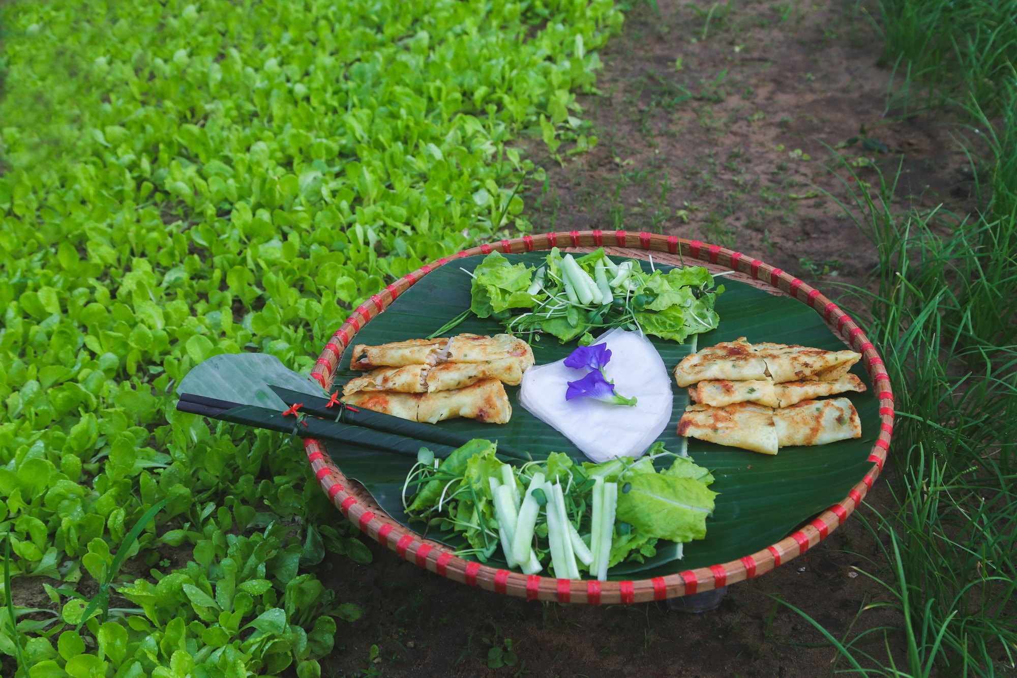 Ng&ocirc;i l&agrave;ng nhỏ ở Hội An vừa được UNESCO vinh danh "L&agrave;ng Du lịch tốt nhất thế giới": C&aacute;ch phố cổ 3km, v&eacute; v&agrave;o chỉ 35 ngh&igrave;n- Ảnh 12.