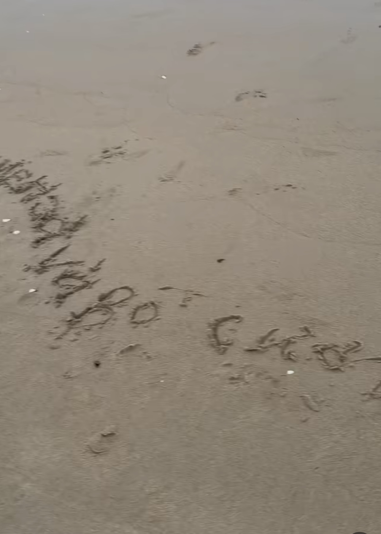 Nh&igrave;n b&eacute; Bo v&ocirc; tư quấn qu&yacute;t b&ecirc;n bố Cương chợt nhận ra: D&aacute;ng vẻ của một đứa trẻ hạnh ph&uacute;c thật sự l&agrave; thứ kh&ocirc;ng thể "diễn"- Ảnh 2.