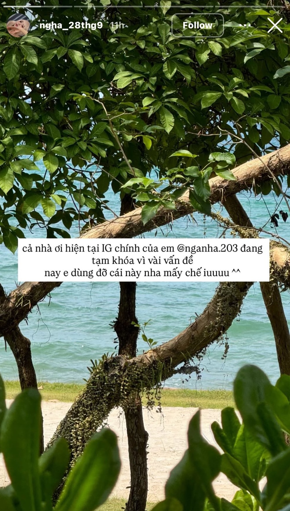 Động th&aacute;i lạ của &ldquo;bạn trai H&agrave; M&ocirc;i&rdquo; giữa nghi vấn bị cắm sừng- Ảnh 2.