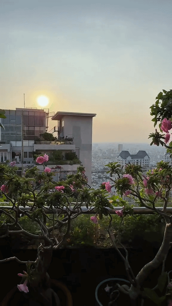 Khu vườn tr&ecirc;n penthouse tầng 36, ngắm trọn Landmark 81: "Ph&uacute; b&agrave;" thu đẫm tr&aacute;i ngọt hoa thơm- Ảnh 9.