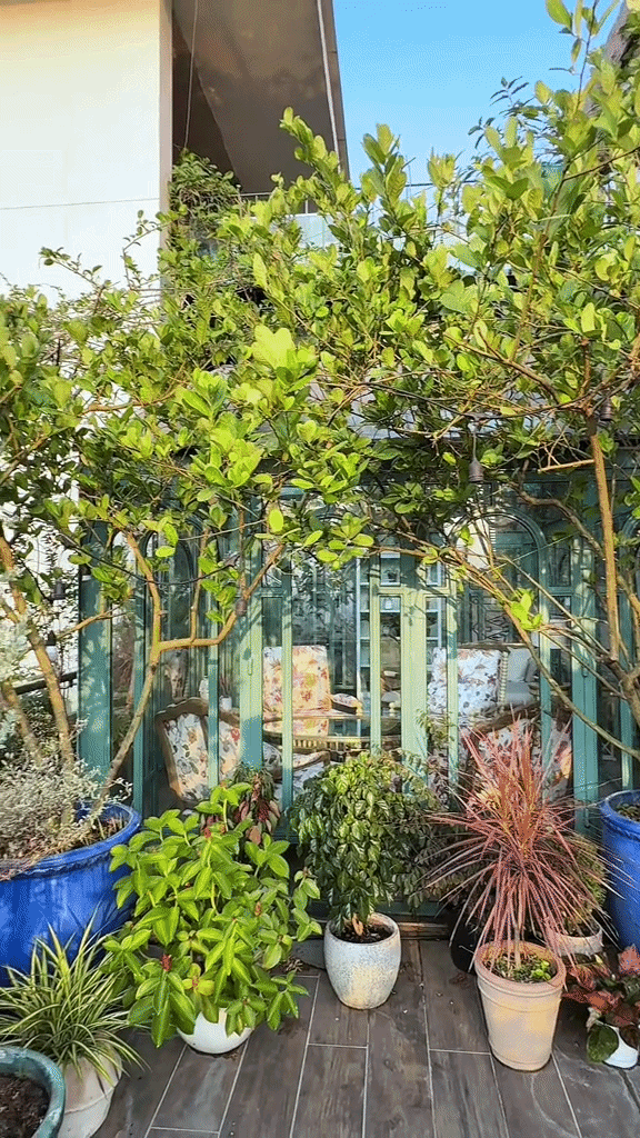 Khu vườn tr&ecirc;n penthouse tầng 36, ngắm trọn Landmark 81: "Ph&uacute; b&agrave;" thu đẫm tr&aacute;i ngọt hoa thơm- Ảnh 4.