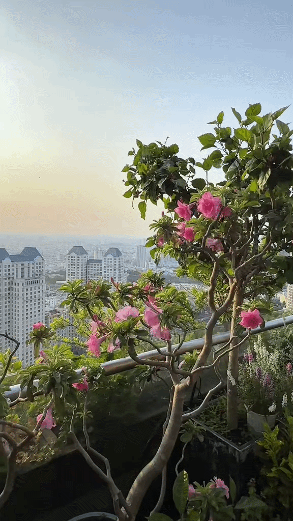 Khu vườn tr&ecirc;n penthouse tầng 36, ngắm trọn Landmark 81: "Ph&uacute; b&agrave;" thu đẫm tr&aacute;i ngọt hoa thơm- Ảnh 10.