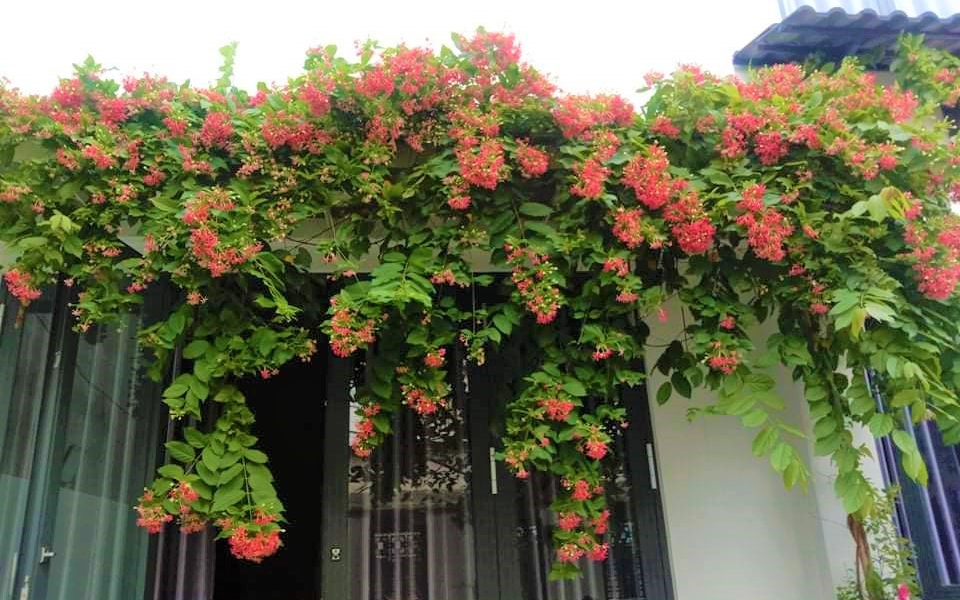 &Ocirc;ng b&agrave; dạy: Xuất hiện 3 dấu hiệu n&agrave;y trong nh&agrave;, ai hỏi cũng đừng b&aacute;n, ở c&agrave;ng l&acirc;u c&agrave;ng tốt cho con ch&aacute;u - Ảnh 2.