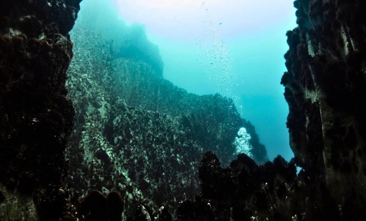 Nhấc một phiến đ&aacute; l&ecirc;n từ độ s&acirc;u 2.515m, c&aacute;c nh&agrave; khoa học ph&aacute;t hiện một thế giới kh&ocirc;ng n&ecirc;n tồn tại - Ảnh 3.