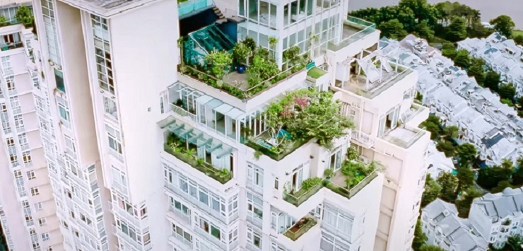 Khu vườn tr&ecirc;n penthouse tầng 36, ngắm trọn Landmark 81: "Ph&uacute; b&agrave;" thu đẫm tr&aacute;i ngọt hoa thơm- Ảnh 1.