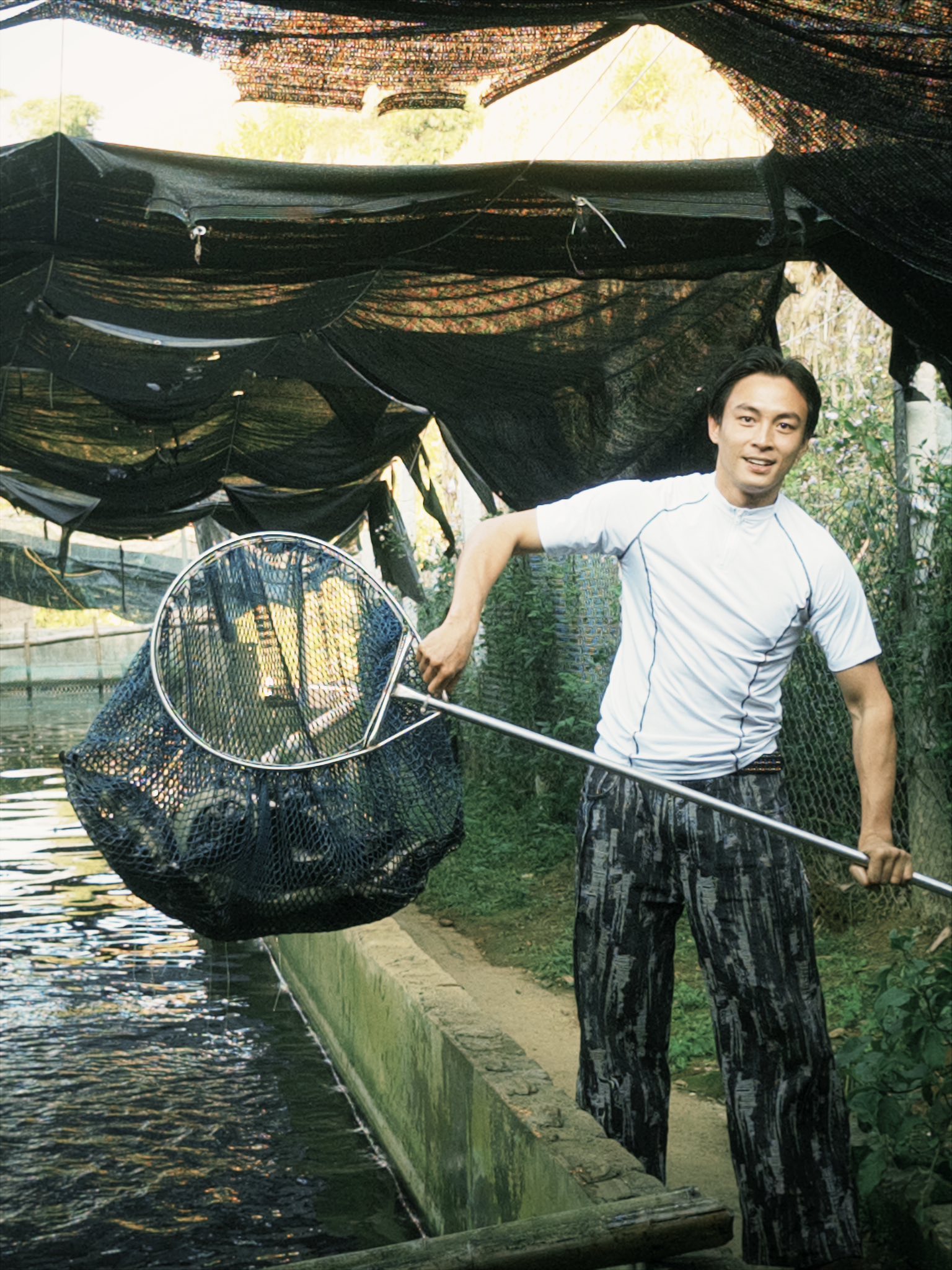 Th&ecirc;m sao Việt gặp chỉ tr&iacute;ch v&igrave; nhảy v&agrave;o tranh c&atilde;i c&acirc;y l&uacute;a: "Thiếu g&igrave; c&acirc;y l&uacute;a đ&atilde; ch&iacute;n m&agrave; b&ocirc;ng vẫn ngẩng đầu"- Ảnh 4.