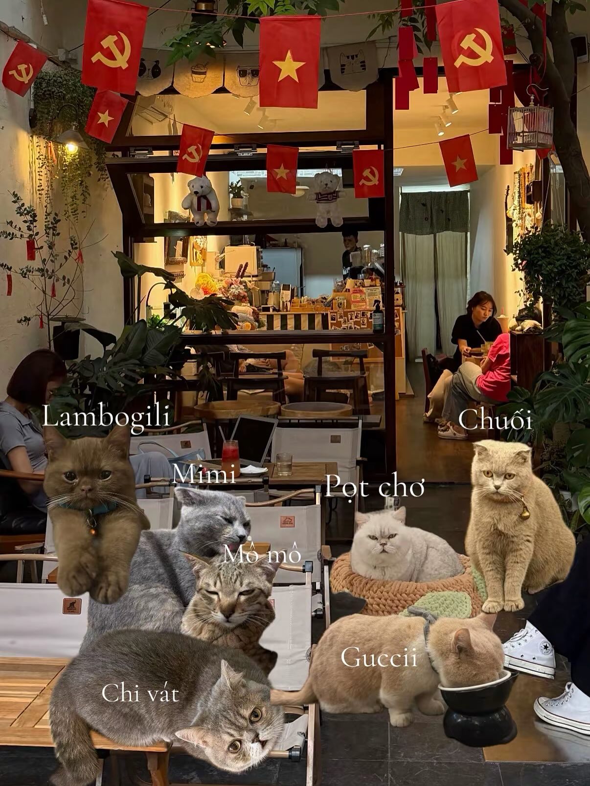 Quyết định ở lại H&agrave; Nội dịp lễ th&igrave; cứ lưu ngay 5 qu&aacute;n c&agrave; ph&ecirc; cực nghệ n&agrave;y để &ldquo;nh&acirc;m nhi&rdquo; trọn ng&agrave;y nghỉ - Ảnh 21.