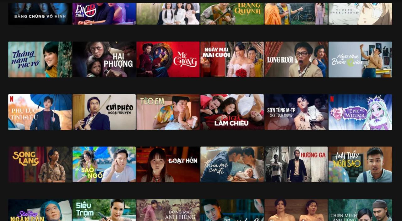 Chuyện g&igrave; đang xảy ra với Netflix Việt Nam?- Ảnh 6.