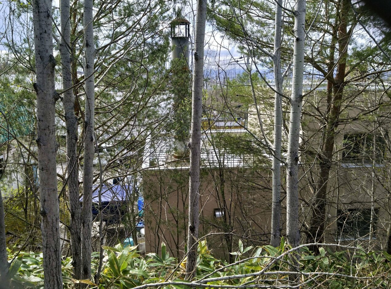 Nhật Bản: Chồng thi&ecirc;u x&aacute;c vợ tại sở th&uacute; - Ảnh 1.