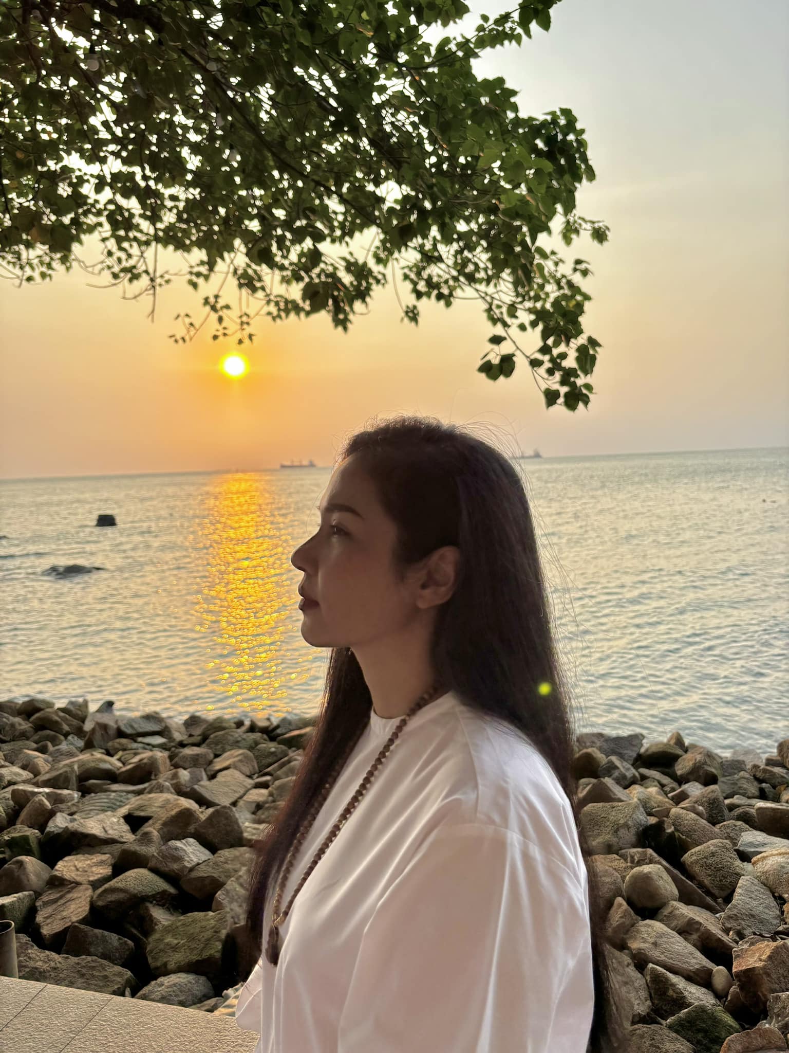 Đệ nhất mỹ nh&acirc;n Việt đ&igrave;nh đ&aacute;m một thời: 