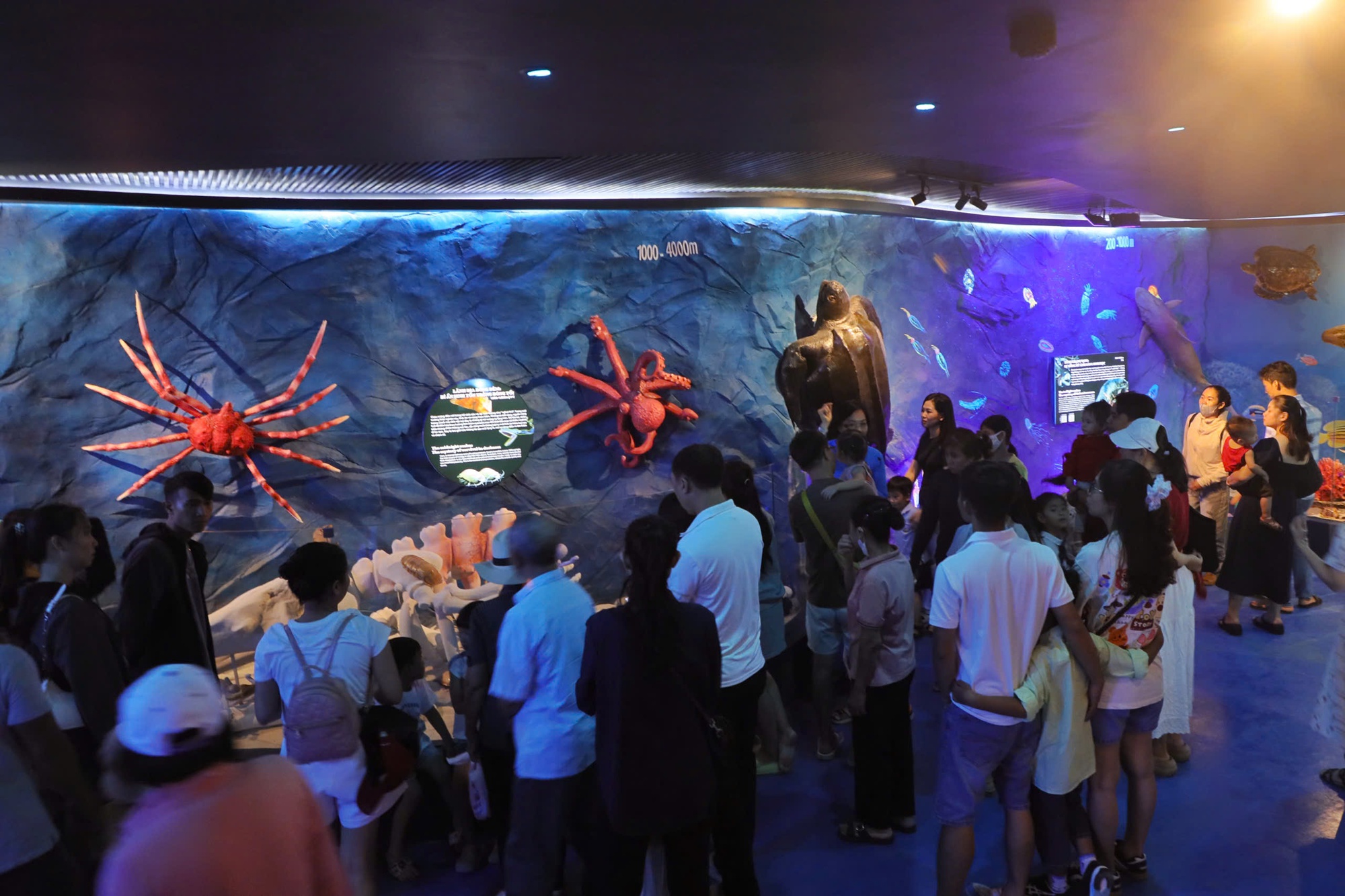 Nha Trang g&oacute;p mặt top 5 điểm đến l&yacute; tưởng cho kỳ nghỉ gia đ&igrave;nh tại Việt Nam- Ảnh 4.