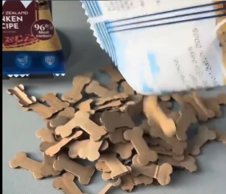 Đ&aacute;m tang xa xỉ cho th&uacute; cưng: Nghi lễ long trọng, đốt v&agrave;ng m&atilde; c&oacute; cả người hầu- Ảnh 4.