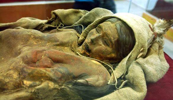 Khai quật x&aacute;c ướp "c&ocirc;ng ch&uacute;a ngủ trong rừng" 4.000 năm tuổi, chuy&ecirc;n gia gi&aacute;m định ADN ph&aacute;t hiện danh t&iacute;nh kh&ocirc;ng ngờ- Ảnh 1.