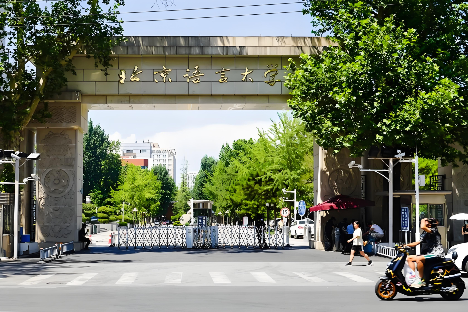 V&igrave; sao 109 đại học Trung Quốc x&oacute;a bỏ ng&agrave;nh Ngoại ngữ: "Tảng băng tr&ocirc;i" AI v&agrave; c&aacute;i bẫy đ&agrave;o tạo chi ph&iacute; thấp- Ảnh 2.