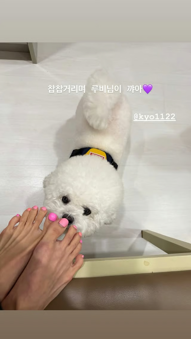 Song Hye Kyo lộ ảnh hẹn h&ograve; tại nh&agrave; ri&ecirc;ng với nh&acirc;n vật đặc biệt- Ảnh 1.