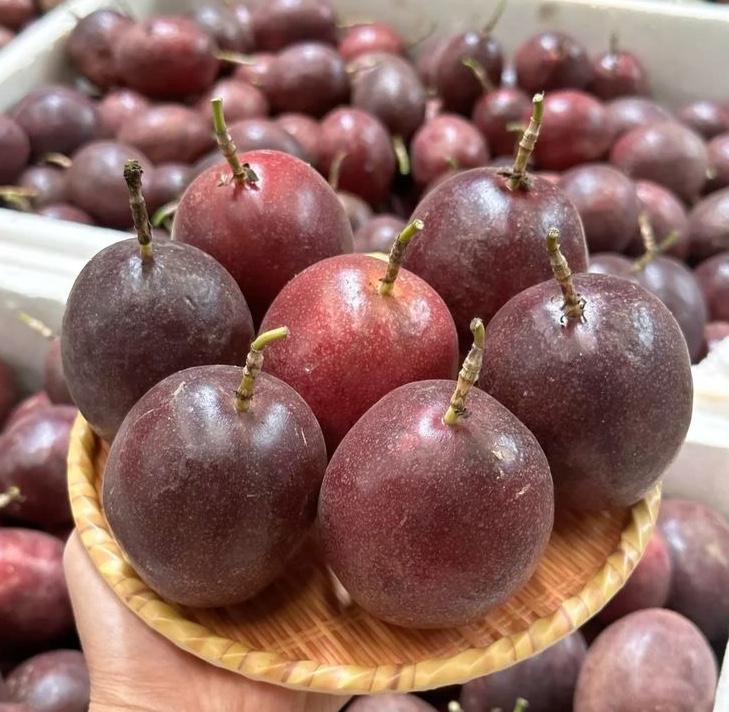 Việt Nam c&oacute; loại nước m&agrave;u v&agrave;ng "thơm nức mũi", nhiều người uống giải kh&aacute;t m&agrave; kh&ocirc;ng hay l&agrave; "b&aacute;u vật" cho sức khỏe- Ảnh 4.