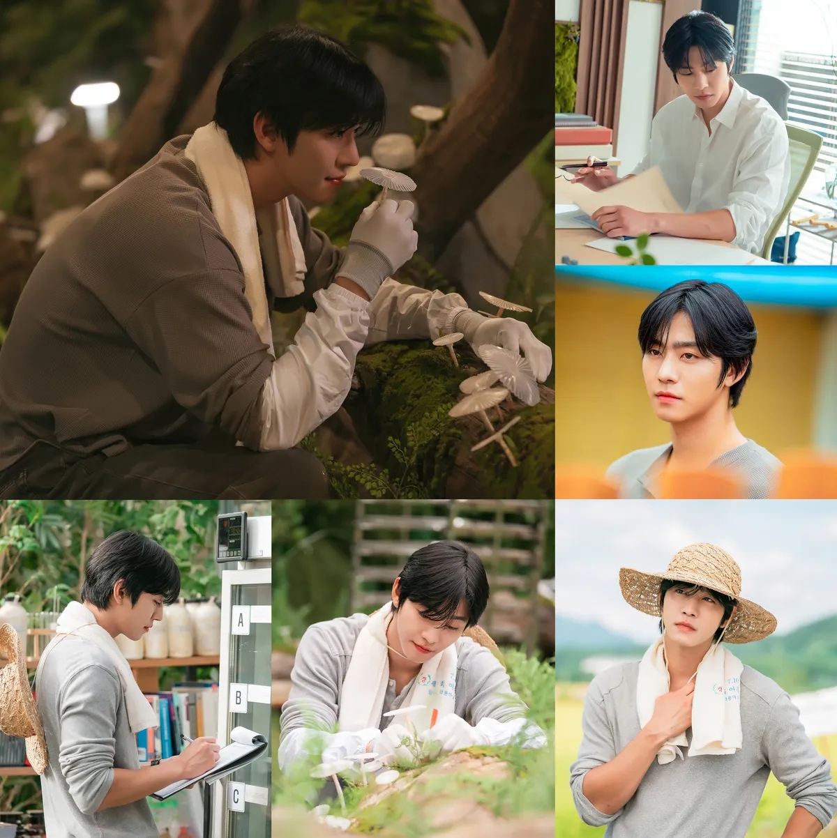 Tưởng ng&ocirc;n t&igrave;nh nhạt nhẽo nhưng phim H&agrave;n n&agrave;y l&agrave; v&agrave;ng giữa đống c&aacute;t: Cặp ch&iacute;nh đẹp xỉu, chờ ra hết mới xem đ&uacute;ng cực h&igrave;nh- Ảnh 3.