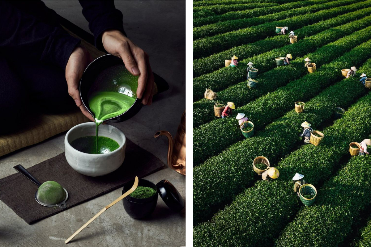 Matcha đội gi&aacute; 180%, sắc t&iacute;m Ube chớp thời cơ tăng vọt 200% tần suất xuất hiện tr&ecirc;n menu đồ uống- Ảnh 7.