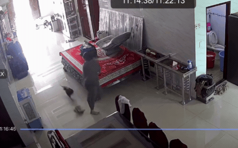 43 triệu người "n&iacute;n thở" v&igrave; 1 chuyện diễn ra trong nh&agrave; L&ecirc; Dương Bảo L&acirc;m, h&agrave;ng x&oacute;m phải k&eacute;o đến xem hiện trường- Ảnh 2.