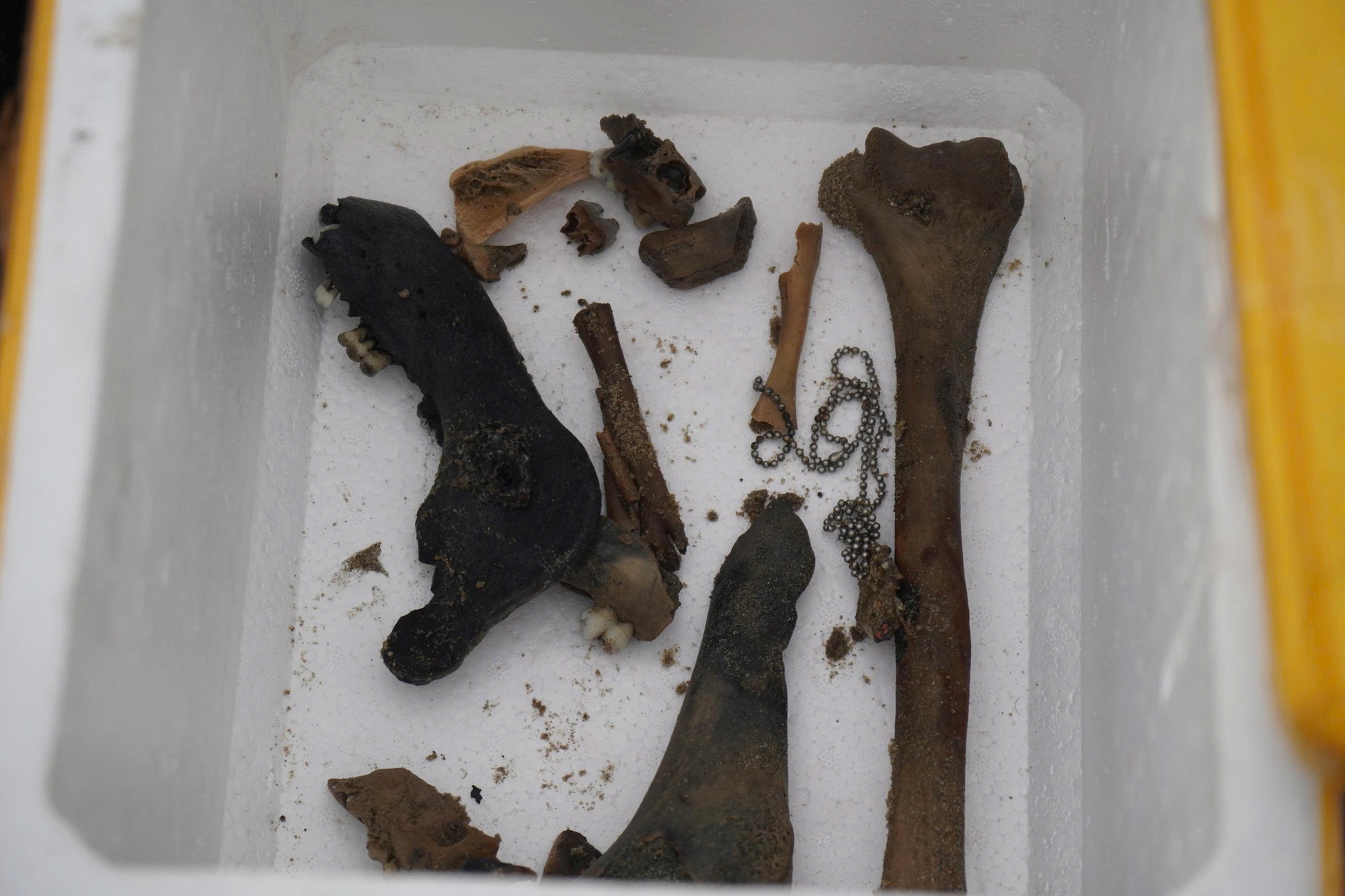 Cận cảnh trục vớt x&aacute;c xe tăng v&ugrave;i s&acirc;u dưới b&atilde;i biển Quy Nhơn - Ảnh 1.