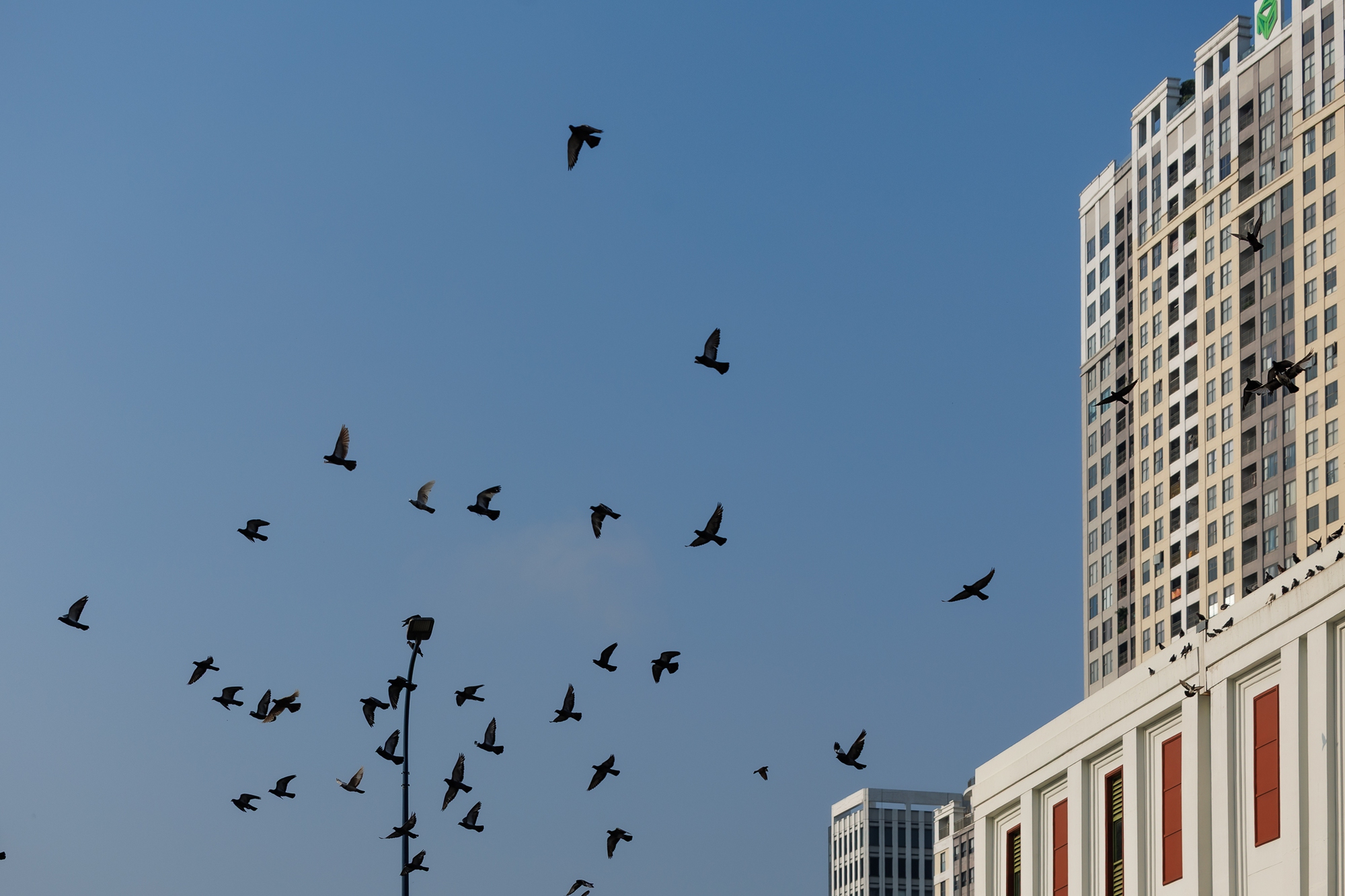 Những khoảnh khắc b&igrave;nh y&ecirc;n của TP.HCM trong s&aacute;ng 30/4- Ảnh 5.