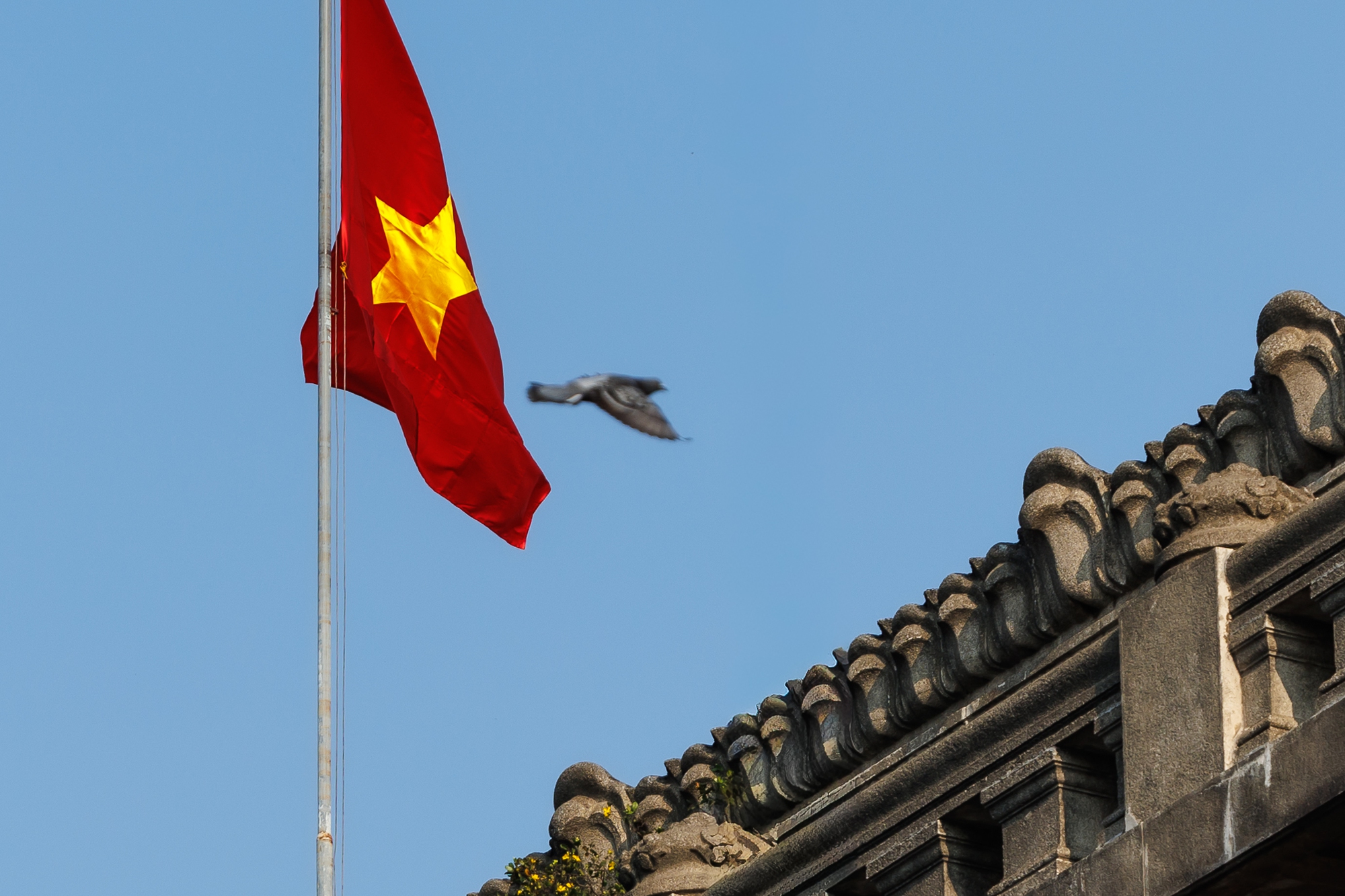 Những khoảnh khắc b&igrave;nh y&ecirc;n của TP.HCM trong s&aacute;ng 30/4- Ảnh 7.