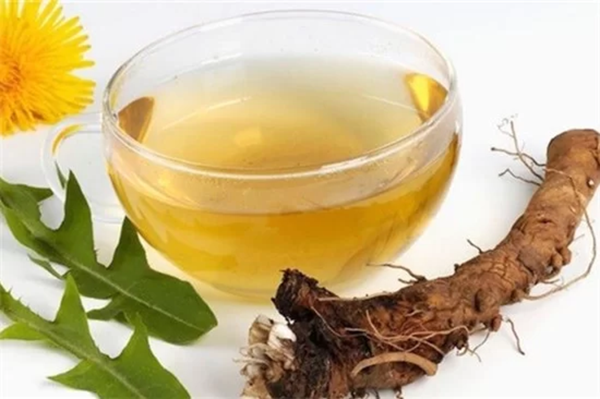 Lo&agrave;i c&acirc;y quen thuộc mọc đầy vườn ở Việt Nam: Tưởng v&ocirc; dụng nhưng lại l&agrave; &ldquo;thần dược&rdquo; qu&yacute; - Ảnh 2.