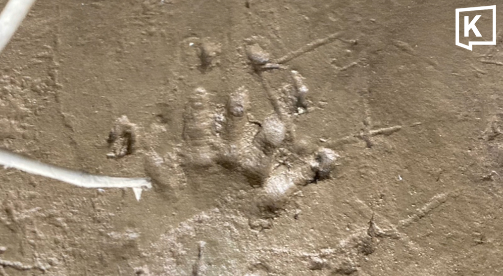 Bờ s&ocirc;ng xuất hiện h&agrave;ng loạt dấu ch&acirc;n lạ, chuy&ecirc;n gia vừa nh&igrave;n liền ph&aacute;c họa: "Qu&aacute;i th&uacute;" c&oacute; thể d&agrave;i 4 m&eacute;t - Ảnh 1.