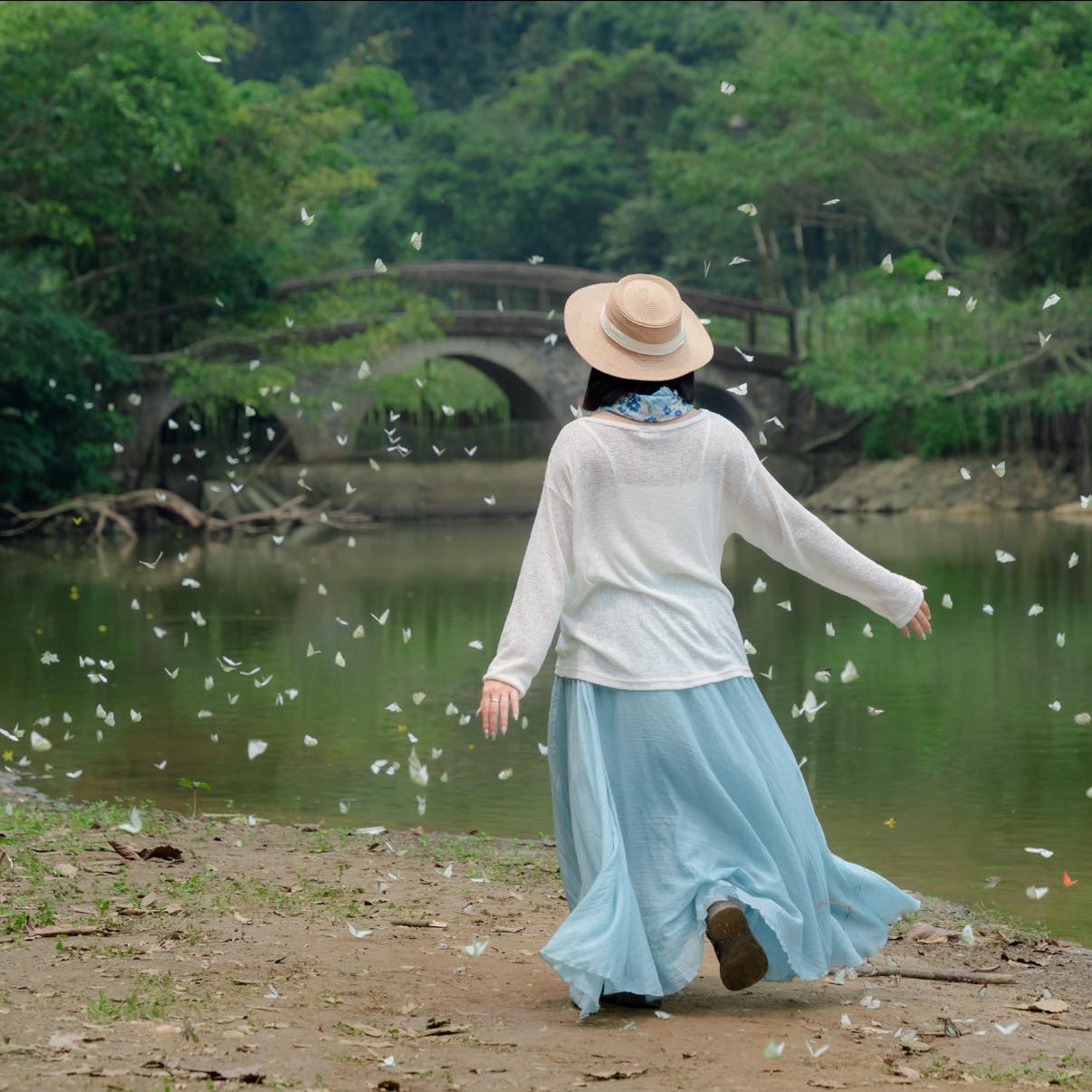 Lạc v&agrave;o "thế giới Ghibli" giữa đời thực: M&ugrave;a bướm C&uacute;c Phương rực rỡ nhất năm đ&atilde; gọi t&ecirc;n, trốn phố về rừng ngay th&ocirc;i!- Ảnh 10.