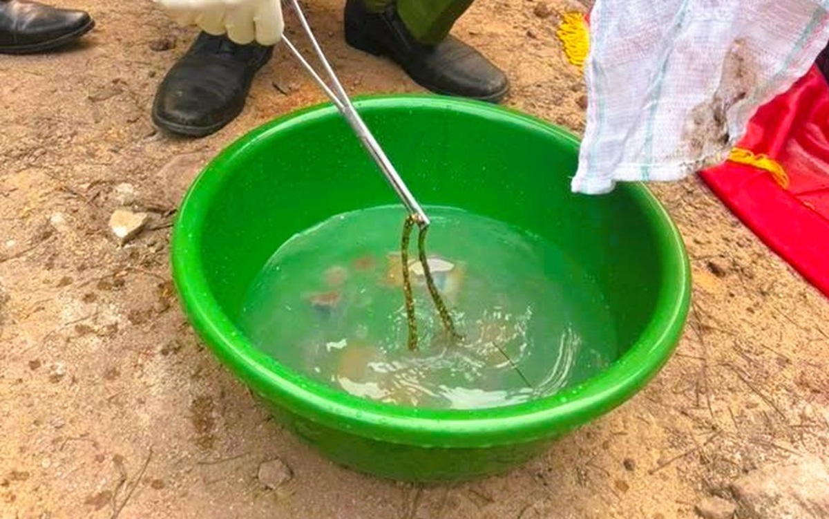 Ph&aacute;t hiện thi thể nam giới đang ph&acirc;n hủy- Ảnh 2.